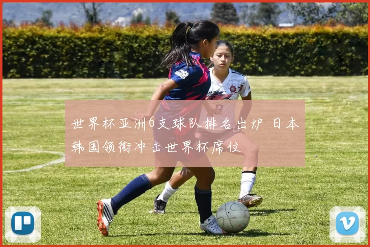 世界杯亚洲6支球队排名出炉 日本韩国领衔冲击世界杯席位