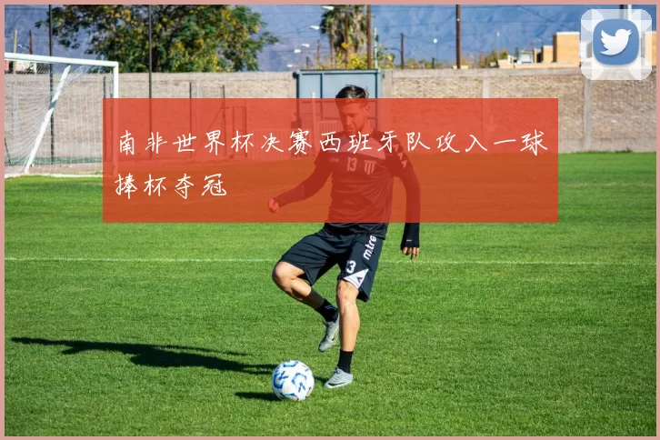 南非世界杯决赛西班牙队攻入一球捧杯夺冠