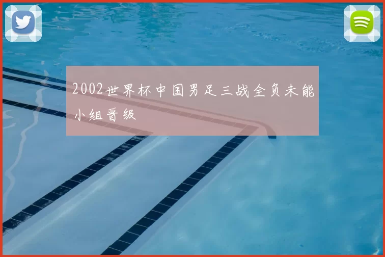 2002世界杯中国男足三战全负未能小组晋级