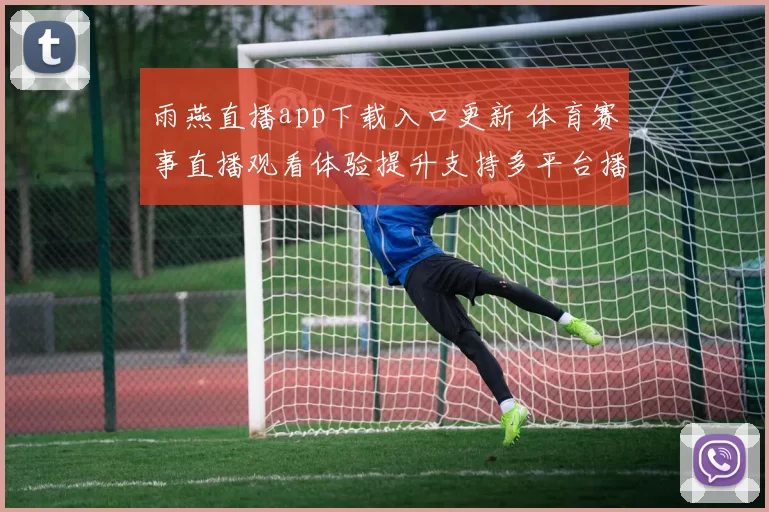 雨燕直播app下载入口更新 体育赛事直播观看体验提升支持多平台播放