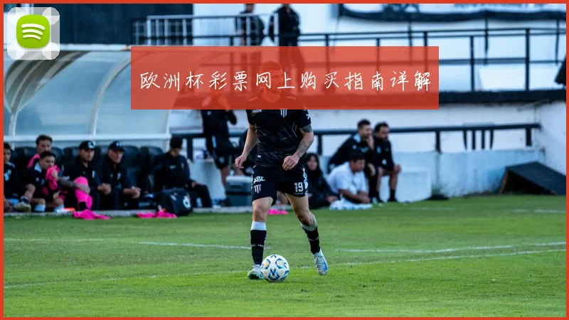欧洲杯彩票网上购买指南详解