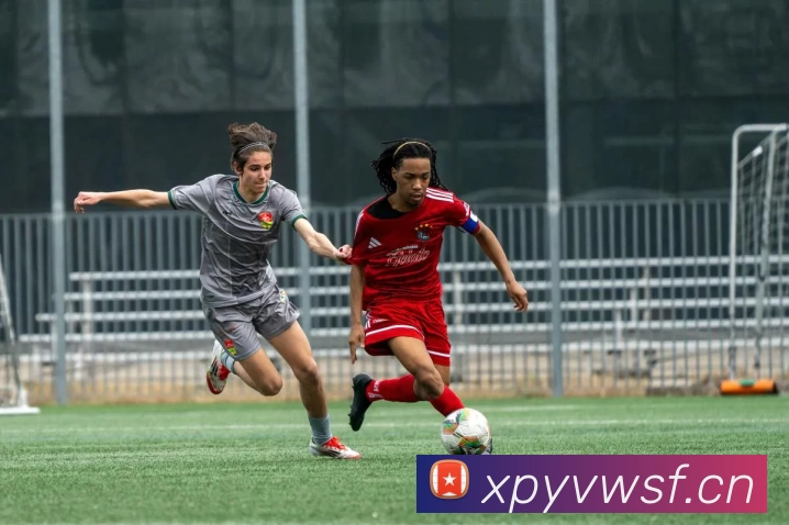 辅助工具 辅助工具